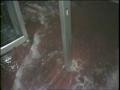 Video: [News Clip: Roof collapse]