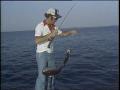 Video: [News Clip: Fishing T2]