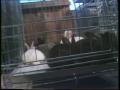 Video: [News Clip: Bunny sales]