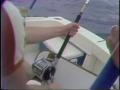 Video: [News Clip: Fishing]