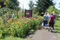 Photograph: [Attendees walking in the Heritage Garden]