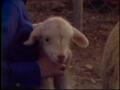 Video: [News Clip: Willie Goat]