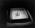 Photograph: [Marbles in a box of sand]