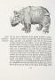Primary view of [Rhino page in "The Elizabethan Zoo"]