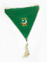 Photograph: [Pakistan soccer flag]