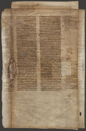 Primary view of [Manuscript Leaf 14th Century, Italy]