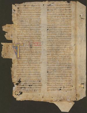 Primary view of [Manuscript Leaf 12th Century, France]