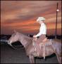 Photograph: [Man and horse at sunset]