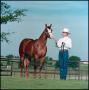 Photograph: [Chip Knost with a Horse]
