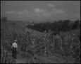 Photograph: [Farm in the hills]