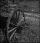 Photograph: [Overgrown wagon wheel]