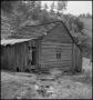 Photograph: [Cabin in the Hills of Tennessee]