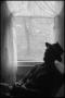 Photograph: [Pappy by the window]