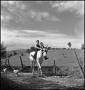 Photograph: [Boy riding a donkey down a trail, 2]