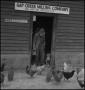 Photograph: [Uncle Billy Minton feeding chickens]