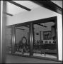 Photograph: [Diagonal view of a trophy room of the Cutter Bill Arena]