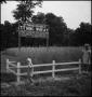 Photograph: [Two children standing next to a fenced in plot of wheat]