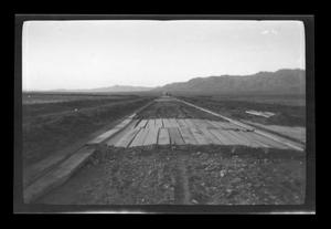 Primary view of [Road in a desert]