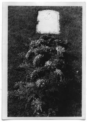 Headstone of Bunt Vise's grave