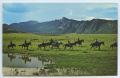Postcard: [Postcard of Mountain Horseback Riding]