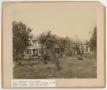 Photograph: [Andrew J. Nelson Farm in the Country]