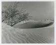 Photograph: [Photograph of a Sand Dune]