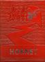 Yearbook: The Hornet, Yearbook of Aspermont Students, 1964