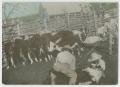 Photograph: [Cowhands and Boy with Cattle]