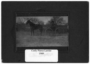 Portrait of Curley Pierce Lawler