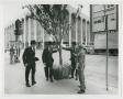 Photograph: [Men with a Tree for the Thanks-Giving Square Tree Planting Ceremony]