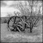 Photograph: [Abandoned Wagon Axle by Tree]