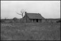 Photograph: [Abandoned House in Graham]