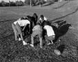 Photograph: [Children Playing at the Rosewood Recreation Center]
