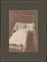 Photograph: [Photograph of a Baby in a Wicker Pram]