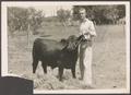 Photograph: [Wendell Tarver with Cow]