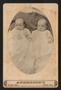 Photograph: [Portrait of Two Unknown Babies on a Blanket]