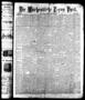 Newspaper: Die Wöchentliche Texas Post. (Houston, Tex.), Vol. 3, No. 22, Ed. 1 S…