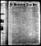 Newspaper: Die Wöchentliche Texas Post. (Houston, Tex.), Vol. 3, No. 42, Ed. 1 S…