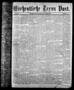 Newspaper: Wöchentliche Texas Post. (Galveston, Tex.), Vol. 7, No. 41, Ed. 1 Thu…