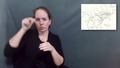 Video: World's Longest History Lesson: Unit 10. Revolution, Part 1 (ASL Inte…