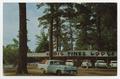 Postcard: [Big Pines Lodge, on Caddo Lake, near Karnack, Texas]