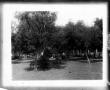Photograph: [Bench and trees]