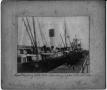 Photograph: [At the port in Texas City on August 19, 1915]