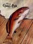Journal/Magazine/Newsletter: Texas Game and Fish, Volume 8, Number 7, June 1950