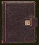 Book: [Diary of Minnie Howard Walker: 1924-1927]