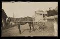 Photograph: [R. R. Stirman two wheel buggy photographic postcard]