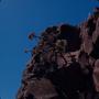 Photograph: [Aeonium from Tamadaba Natural Park, Canary Islands]