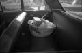 Photograph: [Basket full of items in a car parked at Parkland Hospital]