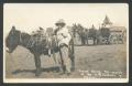 Postcard: [Mexican boy with his donkey]