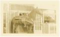 Photograph: Horse at the Rembert Box Office